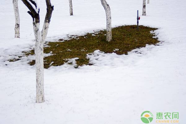 小雪节气如何进行养生？小雪节气这些误区不能碰！