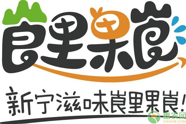 新宁电商发展再升级：区域公用品牌“崀里果崀”正式发布