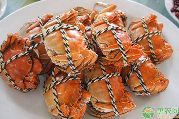 螃蟹的吃法及好吃的做法介绍