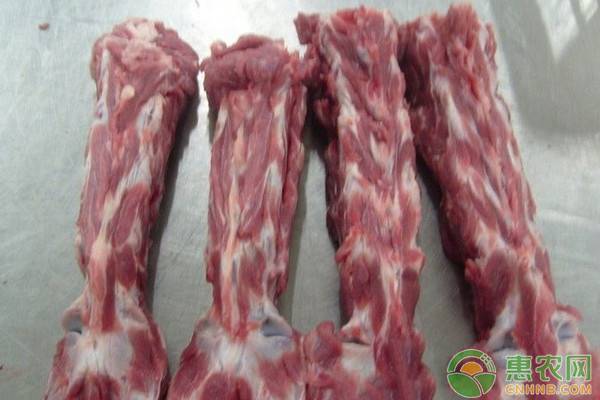 广东羊肉多少钱一斤？附最新价格行情分析