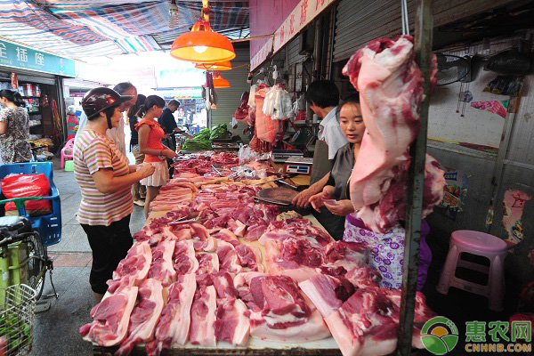 西安今日猪肉价格行情走势分析