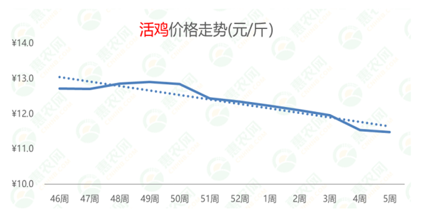 2022年第5周热搜农产品行情：鸡苗、鸭苗热度高涨，草莓供不应求，生姜价格持续探底