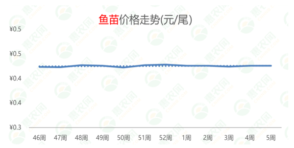 2022年第5周热搜农产品行情：鸡苗、鸭苗热度高涨，草莓供不应求，生姜价格持续探底